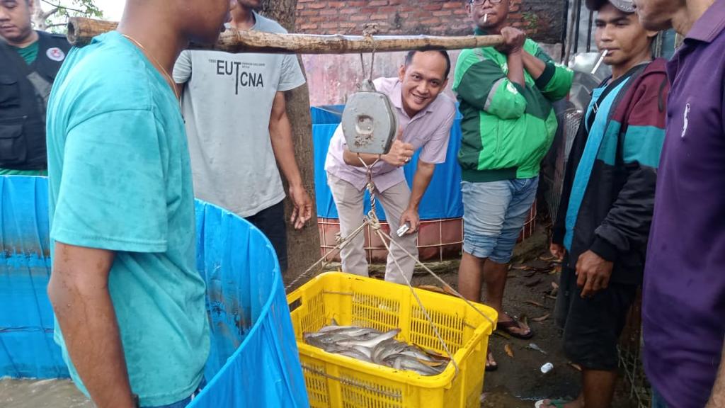 Berdayakan Masyarakat Pesisir, Pokir DPRD Berbuah 16 Kuintal Ikan Lele