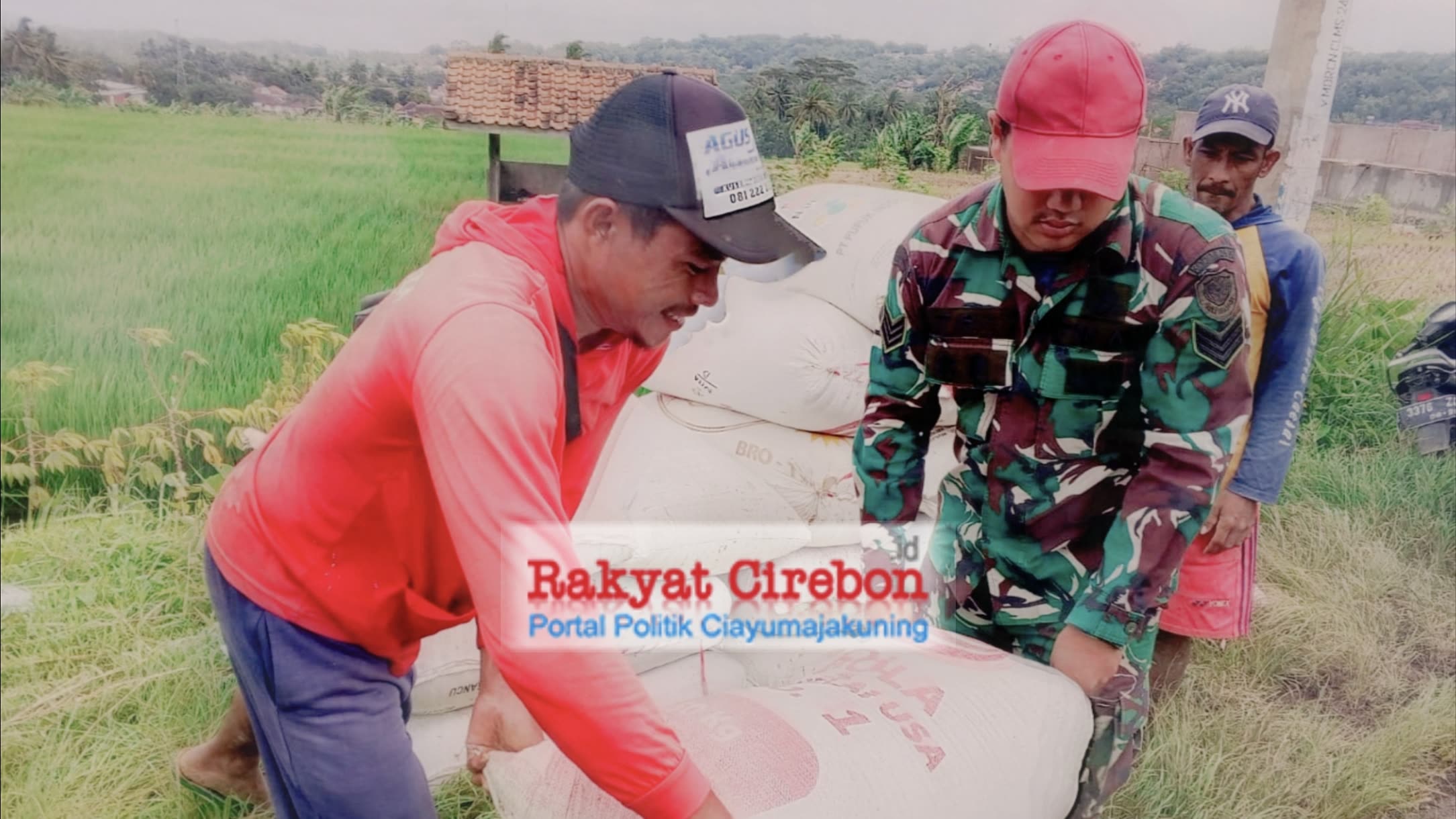 Dukung Petani, Sinergi Bulog-Kodim Kuningan Jemput Bola Kawal Harga Gabah