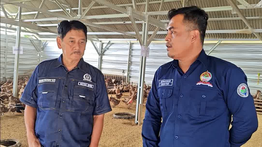 Pemuda Karangmuncang 2 Bulan Kelola Bebek Petelur, Omset BUMDes Tembus 22Juta!