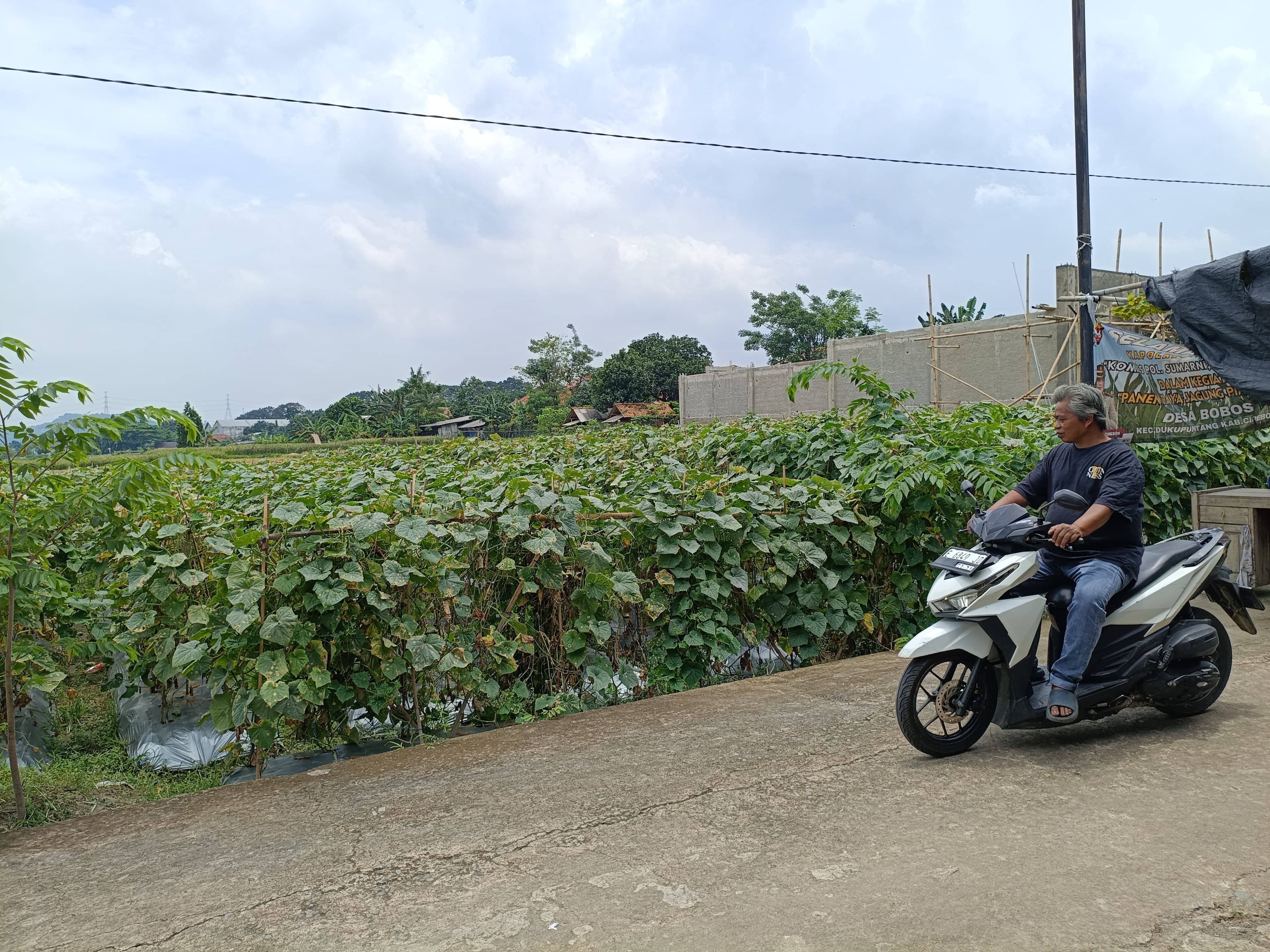 BUMDes Bobos Kembangkan Wisata dan Pertanian, Dorong Kemandirian Ekonomi Desa