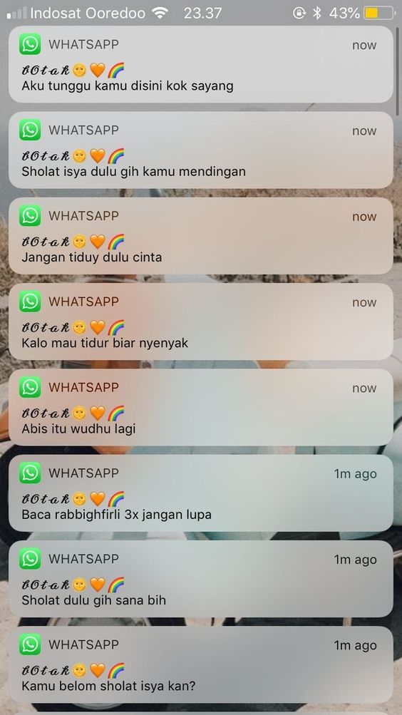 Jangan Biarkan Notifikasi Mengganggu, Hapus Ikon Hijau WhatsApp dengan Gampang