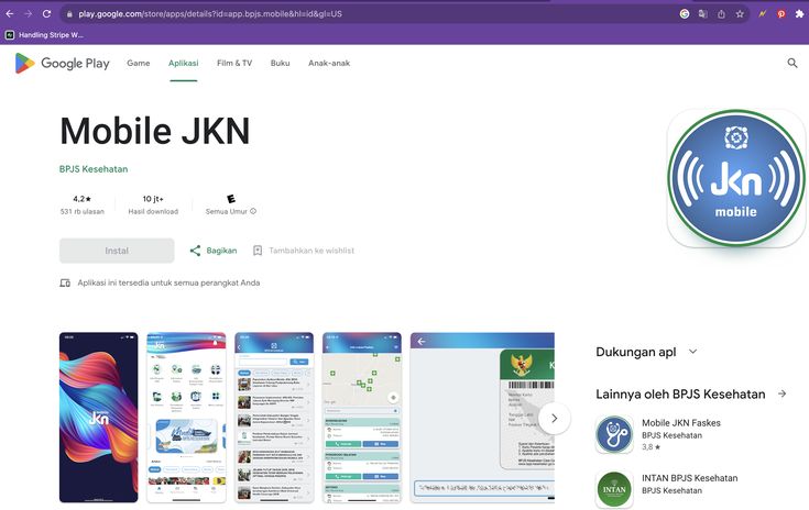 Cara Cek Status Keaktifan Peserta JKN Online Cepat dan Mudah