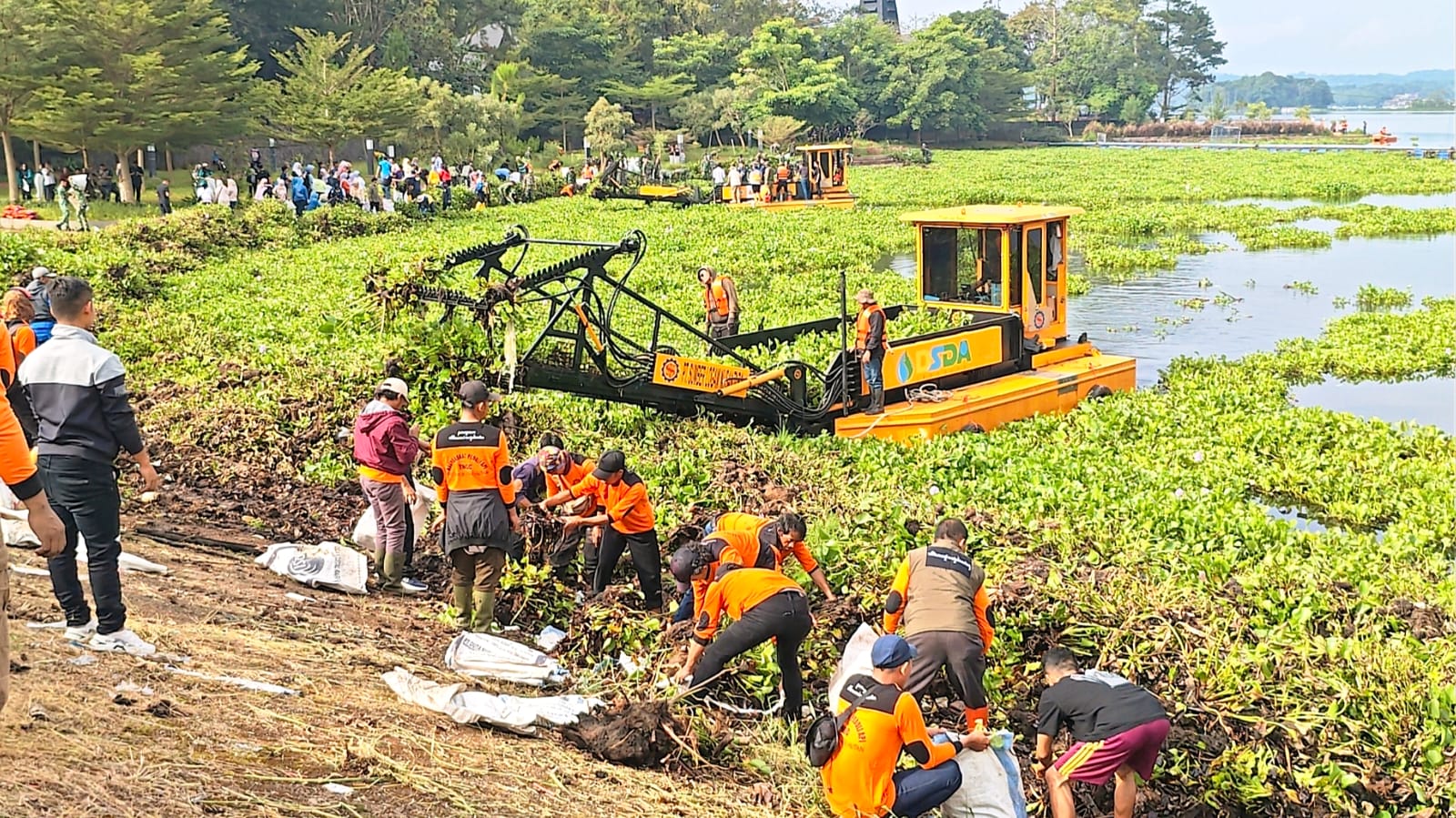 Peduli, KTH Paguyuban Silihwangi Majakuning Turun Tangan Bersihkan Eceng Gondok Waduk Darma