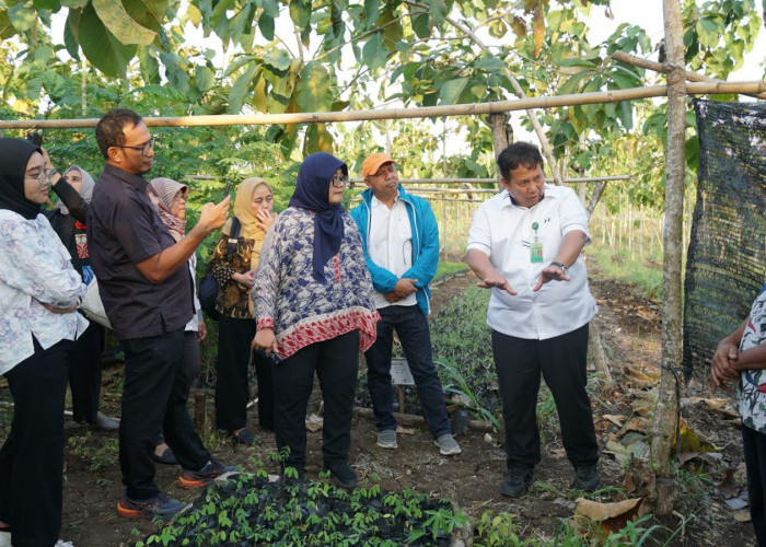 Kolaborasi Pembangunan Ekonomi Inklusif pada Masyarakat Perhutanan Sosial di Provinsi DI Yogyakarta