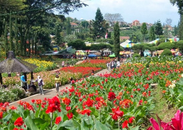 Bagi Pecinta Bunga, Kota Ini Wajib Dikunjungi, Rutin Bikin Festival Internasional, Turis Asing Ikut Terkesima