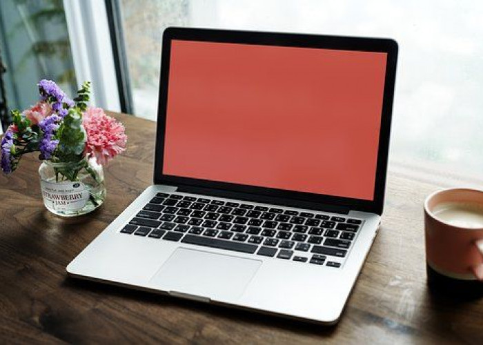 Rekomendasi Laptop Murah untuk Content Creator Pemula