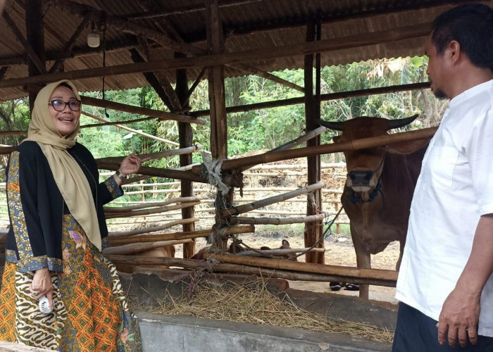 Calon Walikota Cirebon Nomor Urut 2 Eti Herawati Komitmen Kembangkan Kampung Tematik