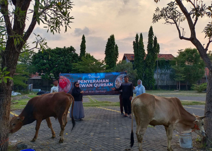 Hari Ini, CSB Mall Bagikan Daging Kurban untuk Warga Sekitar