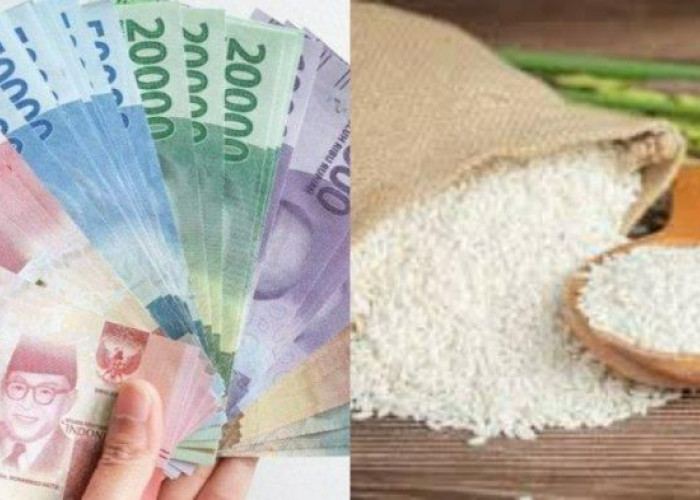 Info Update Jadwal Pencairan BLT atau Bansos Kemensos: Kapan PKH dan BPNT Cair?