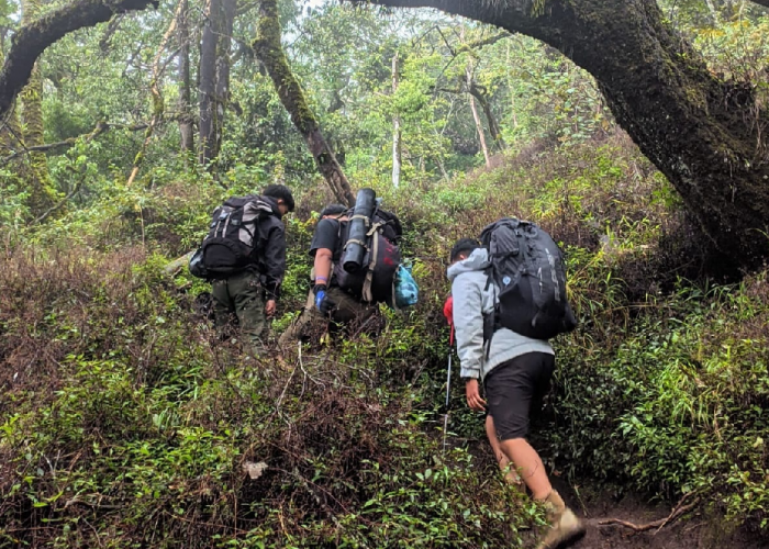 Jumlah Pendaki Gunung Ciremai Menurun Drastis, Harga Tiket Jadi Penyebab Utama