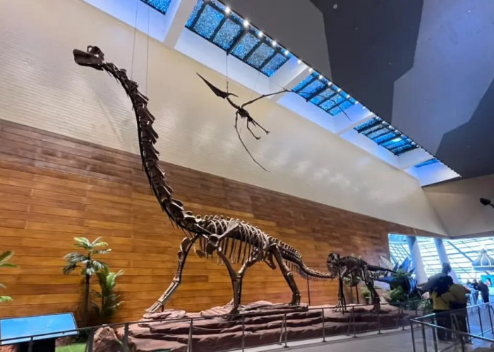 Museum Tahir Solo: Destinasi Wisata Edukasi dan Budaya Terbaru di Surakarta