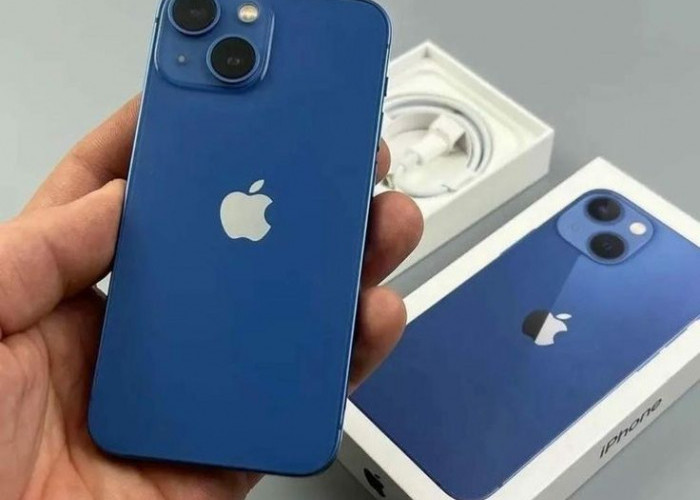 Cari iPhone Baru Garansi Resmi? Ini 3 Pilihan iPhone di Bawah 9 Jutaan di iBox