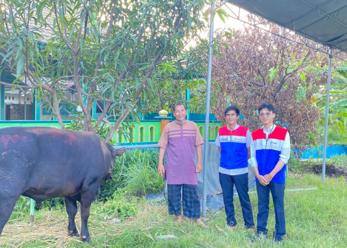 Jelang Kurban Idul Adha, PGN Salurkan 1 Sapi dan 12 Kambing di Cirebon