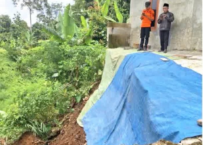 Hujan dan Angin Kencang Sabtu Sore, BPBD Catat 10 Lokasi Terdampak Bencana 
