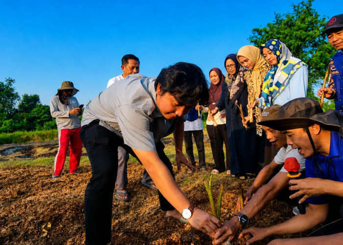 Aldyan Dorong Kemandirian Pangan, Sulap Lahan Tidur Jadi Budidaya Talas Bogor