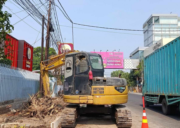 Pohon di Jalan Kartini-Tuparev Bakal Ditanami Lagi