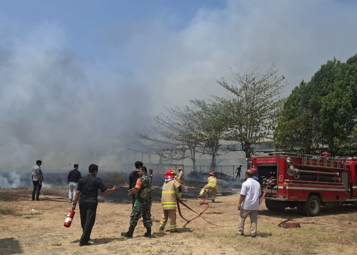 Api Lahap Lahan Kering di Talun, SPBU dan Gudang Yamaha Ikut Terancam