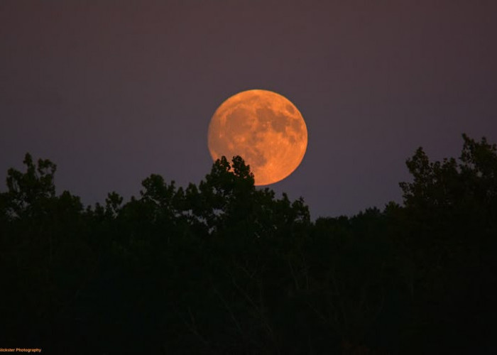 Apa Itu Harvest Moon? Fenomena Bulan Purnama Panen dan Penjelasan Ilmiahnya