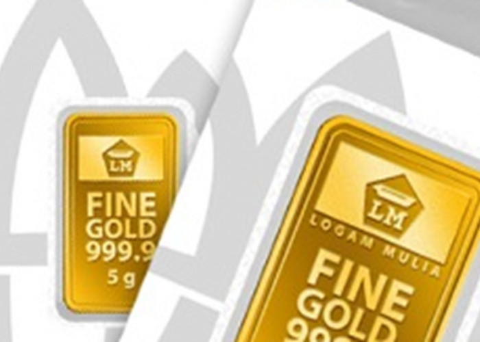 Update Harga Emas Antam Hari Ini 19 Januari 2026: Pecah Rekor, 0,5 Gram Tembus Rp1.401.500