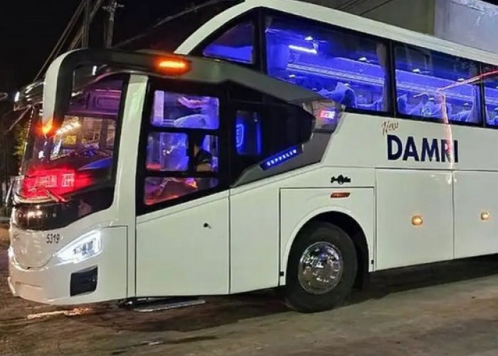 Cuman 80 Ribu Rupiah Kamu Bisa Bepergian, Jadwal Damri Kuningan-Bandung, dan Harga Tiket Terbaru