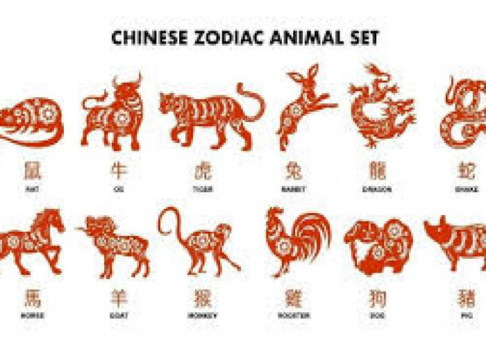 Peruntungan 12 Shio Tahun 2026: 4 Shio Ini Diprediksi Super Hoki 