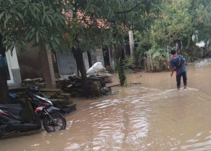 Dampak Pendangkalan Sungai Singaraja, Ratusan Rumah di Desa Pengarengan Terendam Banjir