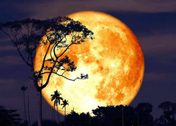 Kenapa Dinamakan Buck Moon? Ini Sejarah di Balik Bulan Purnama Juli