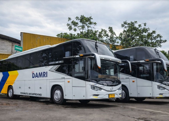 Panduan Lengkap Naik Bus DAMRI Jakarta Bali: Rute, Fasilitas, dan Titik Keberangkatan