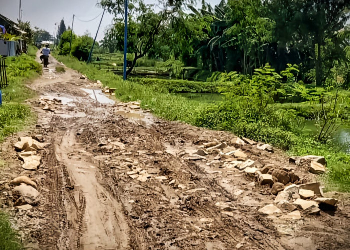 DPRD Desak DPUTR Perbaiki Jalan Rusak Penghubung Kapetakan dan Gegesik