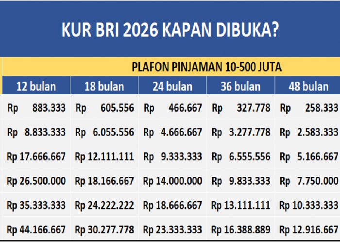 Bisa Pinjam 500 Juta, Suku Bunga 6% per Tahun, Dicicil 5 Tahun, KUR BRI 2026 Kapan Dibuka?