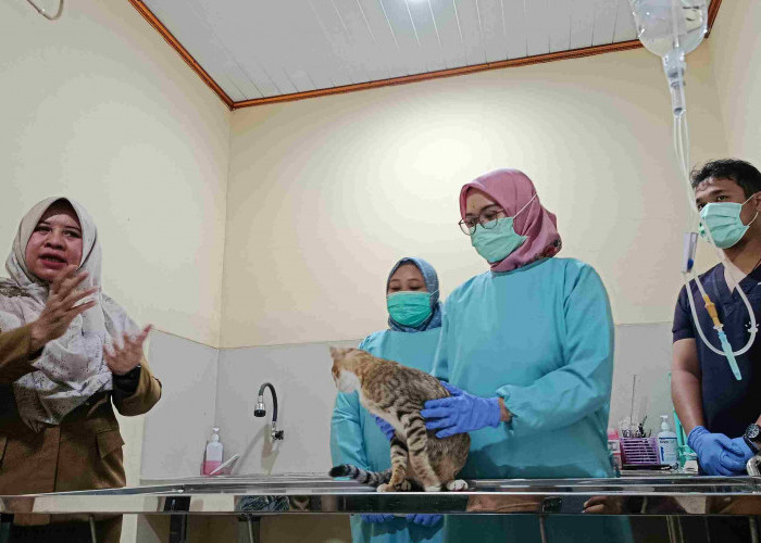 Layani Pemeriksaan Hewan Peliharaan, Puskeswan Ikut Sumbang PAD