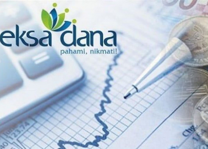 Cara Investasi Reksa Dana untuk Pemula Modal Rp100 Ribu Langsung Untung 