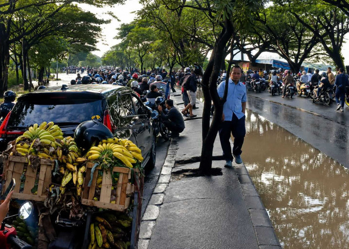 Pantura Cirebon Timur Lumpuh Diterjang Banjir, Karyawan Pabrik Tertahan di Median Jalan