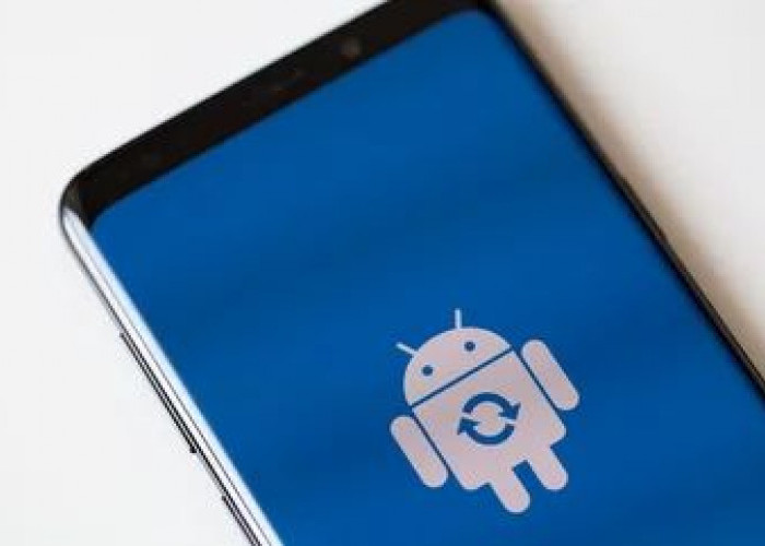 Kelebihan dan Kekurangan Update Otomatis Android: Cara Setting Agar Kuota Aman