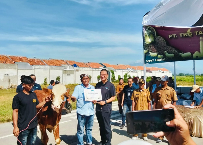 PT TKG Taekwang Cirebon Salurkan Hewan Kurban untuk Masyarakat Sekitar