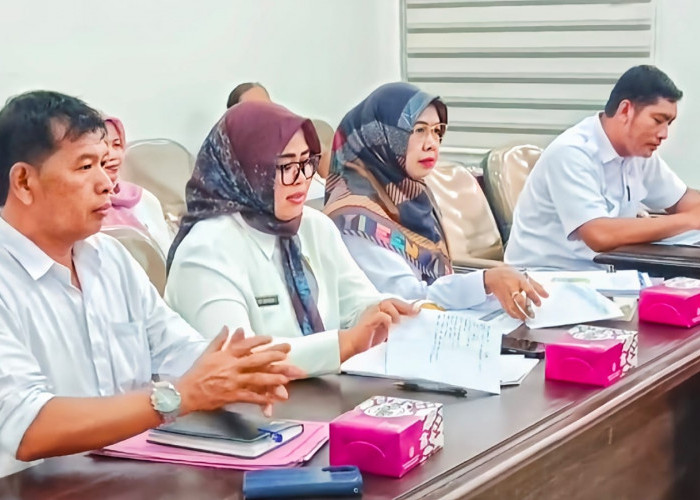 DPMPTSP Akan Petakan Potensi Investasi hingga Tingkat Desa