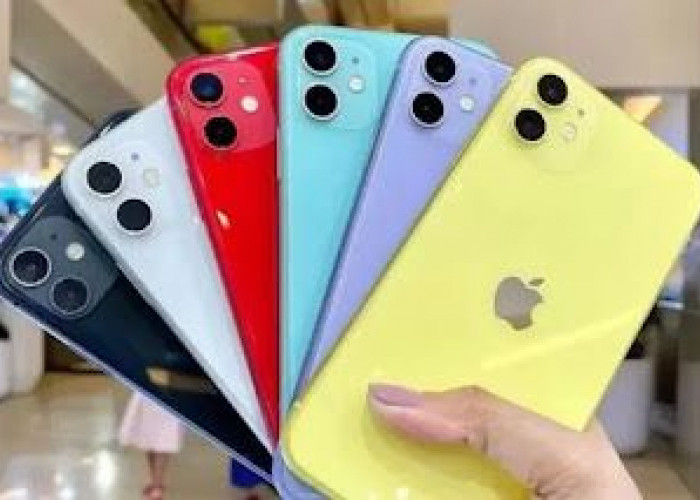 Harga iPhone Bekas Hari Ini: Mana Seri yang Masih Worth It Dibeli?