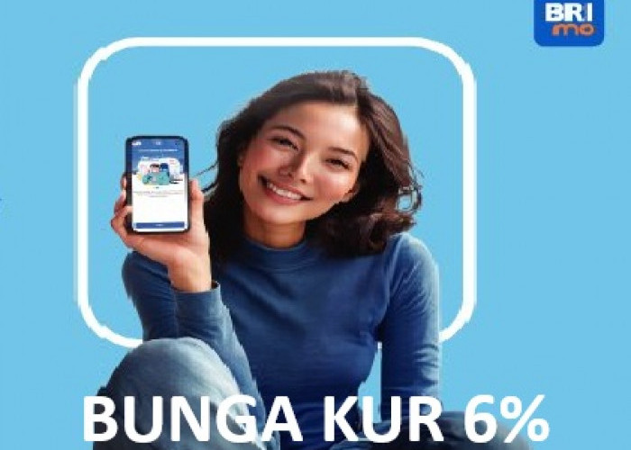 Pinjaman Untuk UMKM Dengan Bunga Rendah 6%: Ini Dia Cara dan Syarat KUR BRI 2026