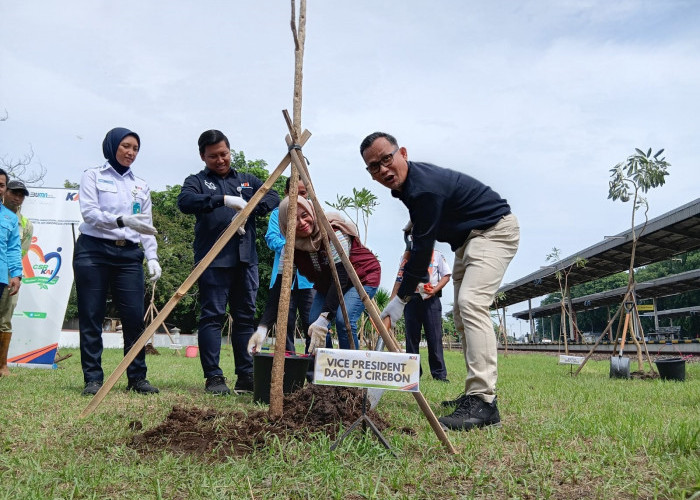 PT KAI Daop 3 Cirebon Tanam Pohon untuk Wujudkan Stasiun Hijau dan Dukung Gerakan Penanaman Satu Juta Pohon