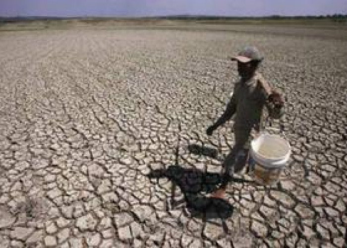 Perkiraan Musim Kemarau 2026: Simak Jadwal Lengkap dari BMKG di Tiap Wilayah!