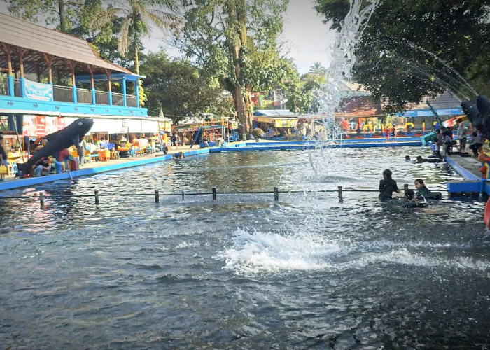 Berenang Bersama Ikan Dewa! Inovasi Baru Taman Narayana dan Situ Batu Gajah Percantik Wisata Cibulan