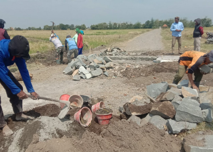 Perbaikan Jembatan Irigasi di Desa Sumberkidul Disambut Antusias Para Petani