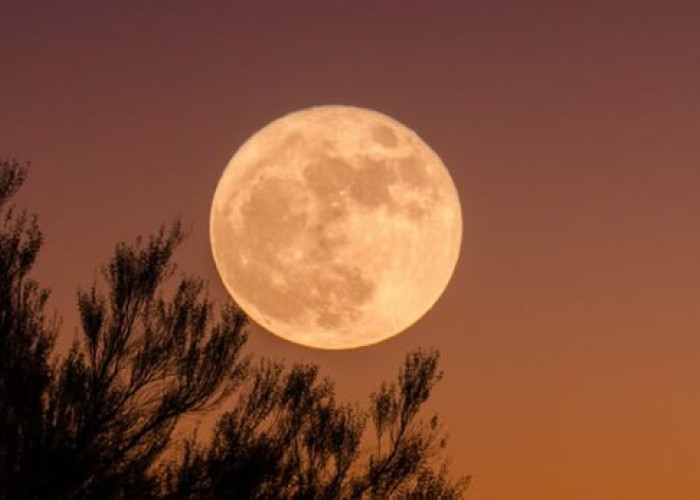 Kapan Harvest Moon Terjadi? Jadwal Fenomena Bulan Purnama Panen Terbaru