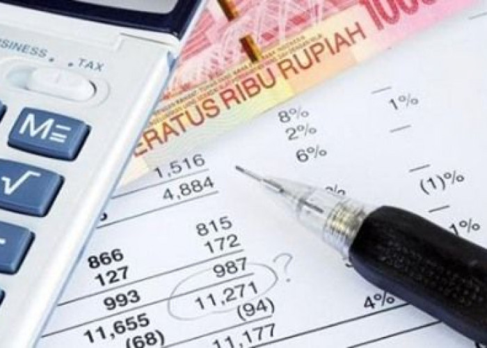 Cara Cek Status Wajib Pajak Aktif atau Non-Efektif Secara Online
