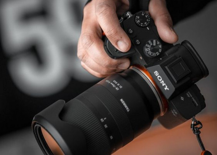 Review Sony A7S: Kamera Andalan untuk Fotografi Malam dan Video