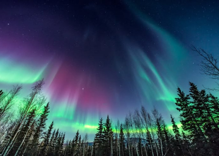 Mengenal Fenomena Aurora: Bagaimana Cahaya Indah di Kutub Bumi Terbentuk?