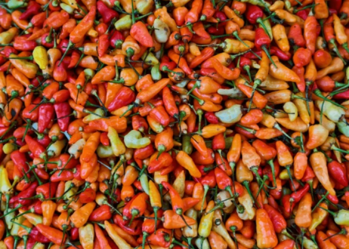 Harga Bahan Pangan Hari Ini Turun: Cek Harga Cabai Hingga Beras