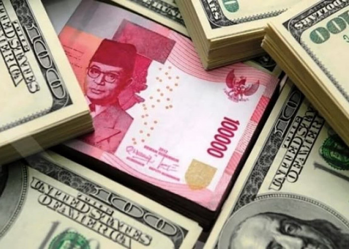 Cara Cek Kurs Dollar BCA Hari Ini secara Online lewat HP