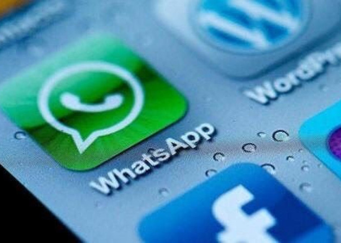 WhatsApp Uji Fitur Baru, Foto Profil Bisa Diambil Langsung dari Facebook dan Instagram!