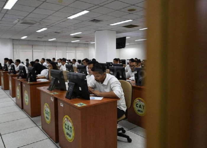 Seleksi CPNS dan PPPK 2024 Segera Dibuka, Honorer dan Fresh Graduate harus Siap-siap